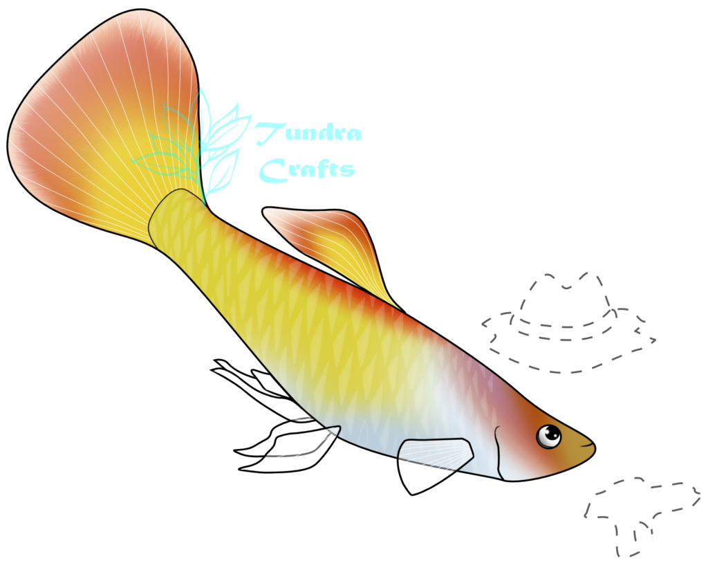 A gold and orange guppy fish, with transparent fins. He is looking up towards outlines of his treasures - a cowboy hat and a pistol